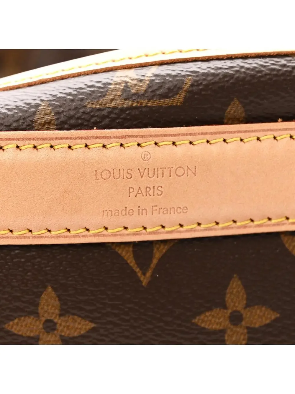 Louis Vuitton Sac Chien 40 Pet Carrier #300339L16B